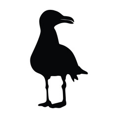 Silhouette of a seagull