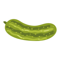 Vegetable Illustration