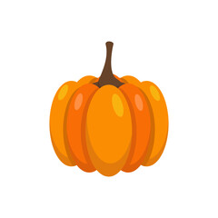 Vegetable Illustration