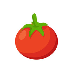 Vegetable Illustration