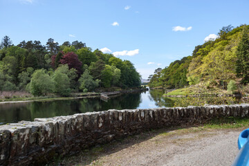 Fototapeta premium Scenic view of the tranquil river surrounded by lush greenery in Scotland under a clear blue sky