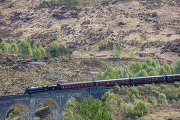 Train crosses historic viaduct in Glenfinnan, Scotland amidst scenic hills and greenery