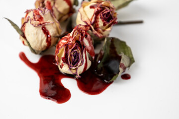 A Bloody dead buds of rose with blood on a white background. Dry flowers of the rose.