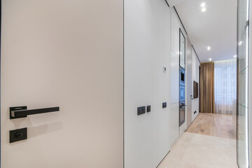 The entrance door and the corridor leading to the living room of a modern studio apartment...