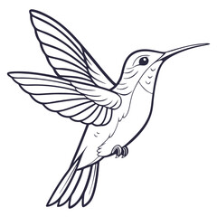 Obraz premium Hummingbird