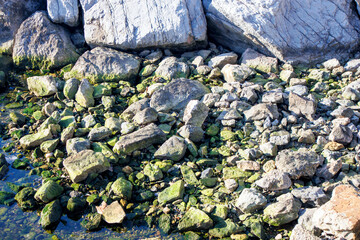 mossy rocks and stones on the sea beach