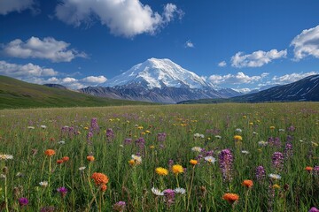 Fototapeta premium Majestic snow-capped mountain rises above vibrant wildflower meadow under bright blue sky