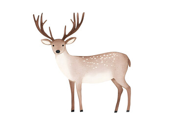 Fototapeta premium Deer graphic style wildlife simple drawing animal isolated on white background