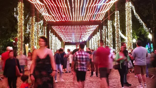 Long exposure time lapse from People in front of christmas lights on pra&ccedil;a da Liberdade a tourist spot on Minas Gerais capital, Belo Horizonte