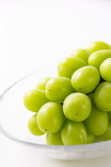 シャインマスカット