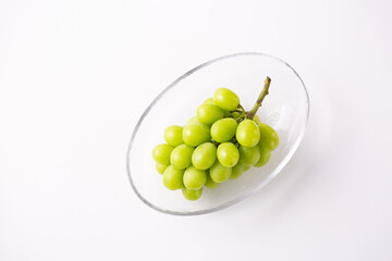 俯瞰から見たシャインマスカット