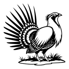 Greater Sage-Grouse