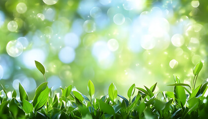 Lush Green Spring Leaves Against A Bright Bokeh Background
