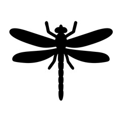 Clean and Symmetrical Dragonfly Illustration