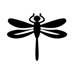 Clean and Symmetrical Dragonfly Illustration