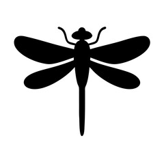 Clean and Symmetrical Dragonfly Illustration