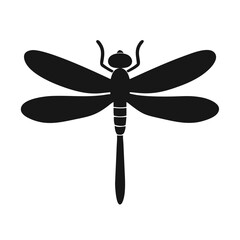 Clean and Symmetrical Dragonfly Illustration