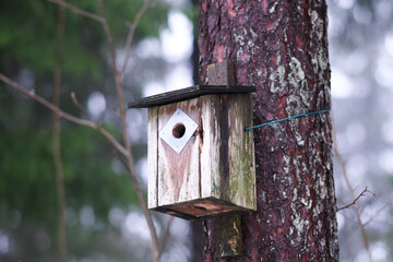 Wooden bird house on a pine tree