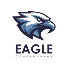 Detailed vector illustration of an eagle head with a fierce and determined expression, perfect for logos or designs.
