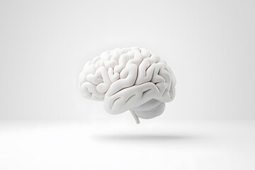 3d human brain isolated on white background