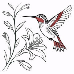 illustration of a bird