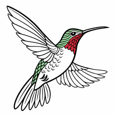 hummingbird in flight