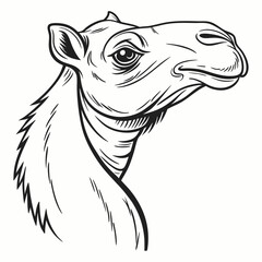 illustration of a horse
