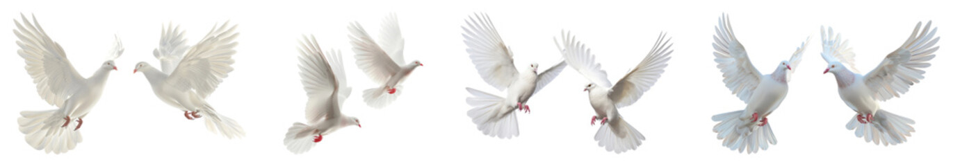 Obraz premium PNG Graceful doves in flight sequence, isolated element set, transparent background