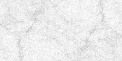 Abstract earth cracks texture on isolate vector background, Black and white old dirty texture, white and black cracks Transparent texture with vector marble pattern background.