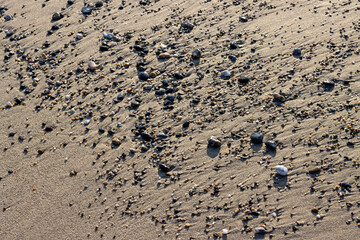 Structure of a gravel on the sand, Sicily, Italy