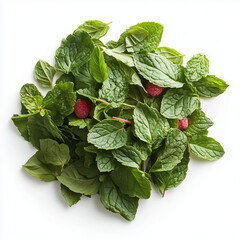 Fresh mint leaves with raspberries 