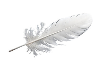 Obraz premium feather isolated on white background