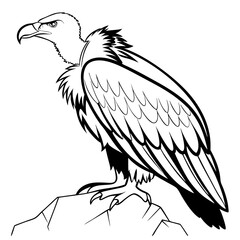 Vulture