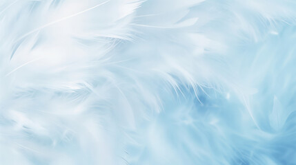 Obraz premium Soft white feathers on a light blue background creating a peaceful mood.Feather background. pastel colors. light blue. calming and serene atmosphere.Softness and tranquility. Light and airy elegance