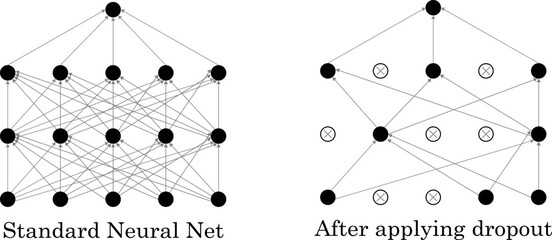 Illustration of a neural network showing a standard architecture and the effect of applying dropout regularization. Perfect for educational, technical, or professional materials on  AI technology