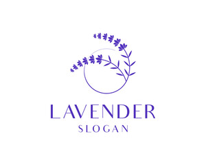 Lavender Floral Purple Aromatherapy Violet Herbal Hand Drawn Circular Frame Vector Logo Design Illustration