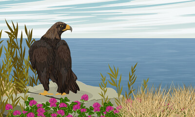 Big golden eagle sits on a rock on the sea coast. Realistic vector landscape