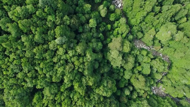 Paisajes de naturaleza