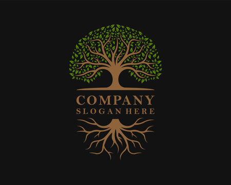Abstract Oak Tree Root Nature Tree Of Life Vintage Vector Logo Design Illustration