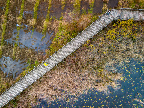 Sakarya Acarlar Longozu High-angle view of a wooden boardwalk across a marsh in autumn. An aerial perspective captures a winding wooden boardwalk traversing a colorful marsh. Karasu Adapazari Turkiye 