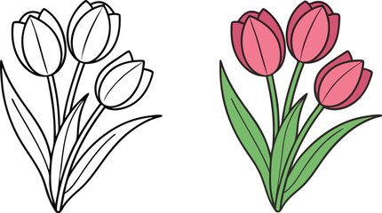 Obraz premium Three Tulips Coloring Page, Line Art, Spring Flowers, Pink Blooms