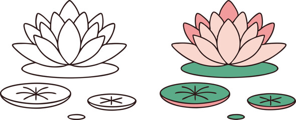 Water Lily Botanical Illustrations Outline, Color, Pads, Flowers