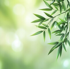 Fototapeta premium Green Bamboo Leaves on Soft Background 