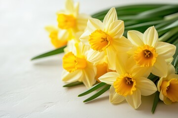 Fototapeta premium A beautiful bouquet of spring flowers on a light background, a close-up, copy space. Multicolored flowers a light background.