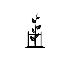 Help and Support Disabled Tree, Care Plant Solid Flat Vector Icon Isolated on White Background.