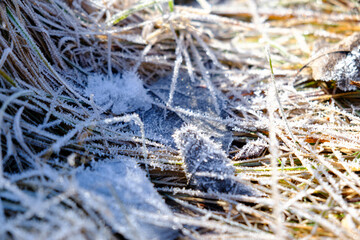 Close-up of frosted grass and leaves glistening in the winter sunlight. The intricate ice crystals create a delicate and natural texture, showcasing the beauty of nature's frozen details.