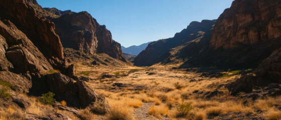 Obraz premium Expansive desert canyon revealing rugged landscape and dry riverbed beneath clear blue sky