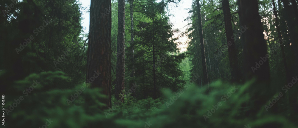 Poster mystical forest path with blurred trees in ethereal green and brown hues