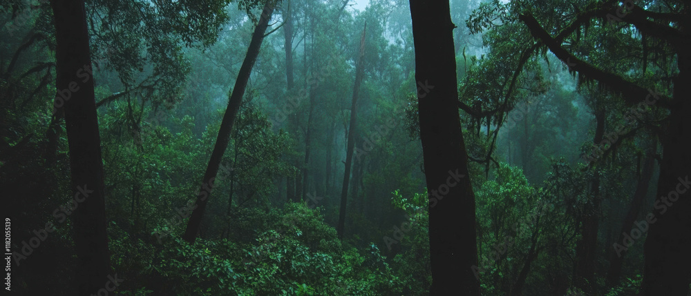 Poster ethereal forest trees in blurred motion create a mystical atmosphere of green and brown hues