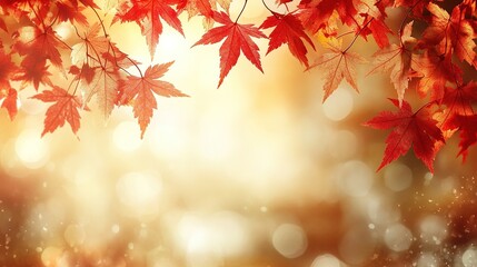 Fototapeta premium A serene autumn scene featuring vibrant red maple leaves against a soft, glowing background.